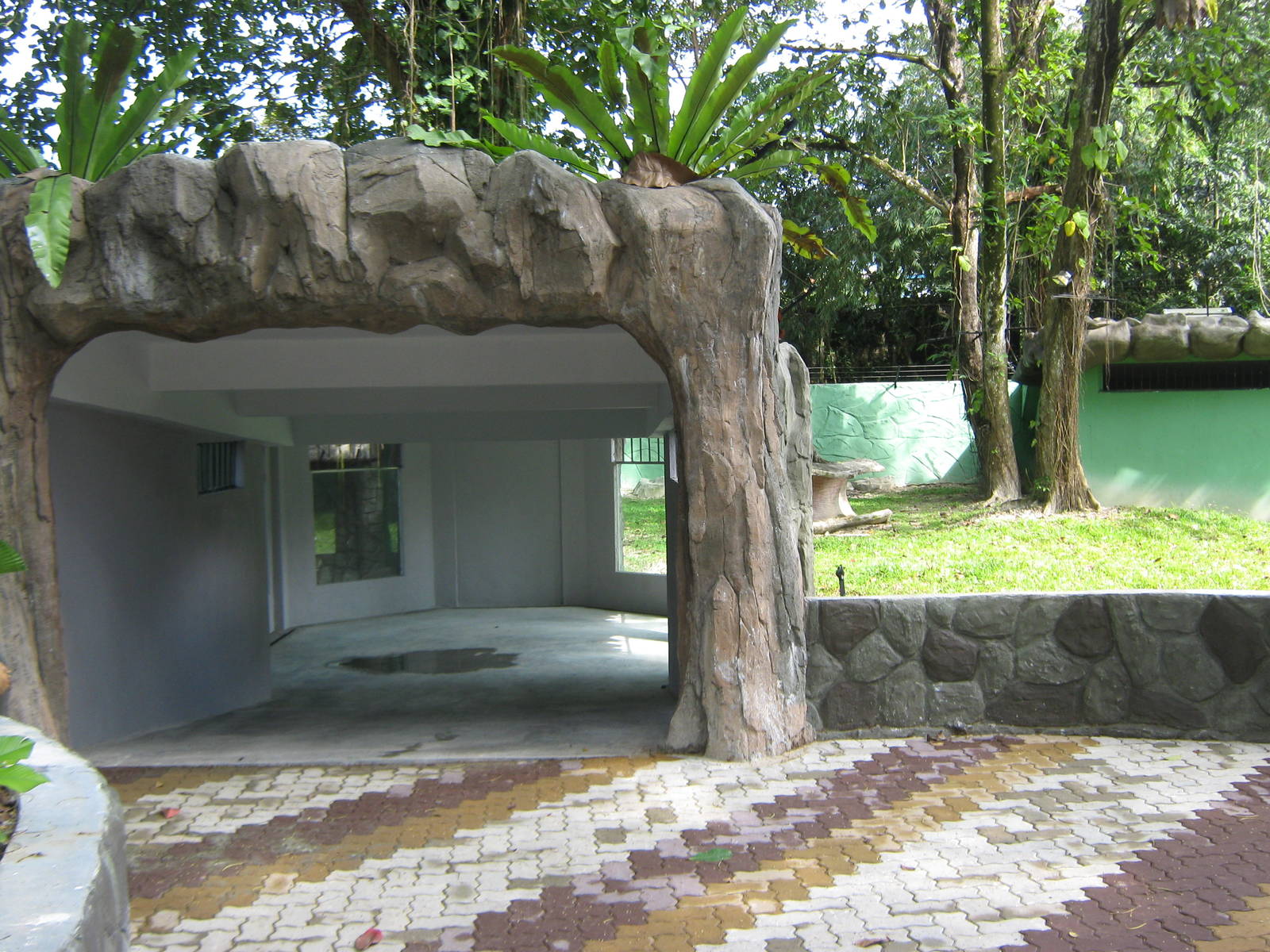views of the new sun bear enclosure, under construction
