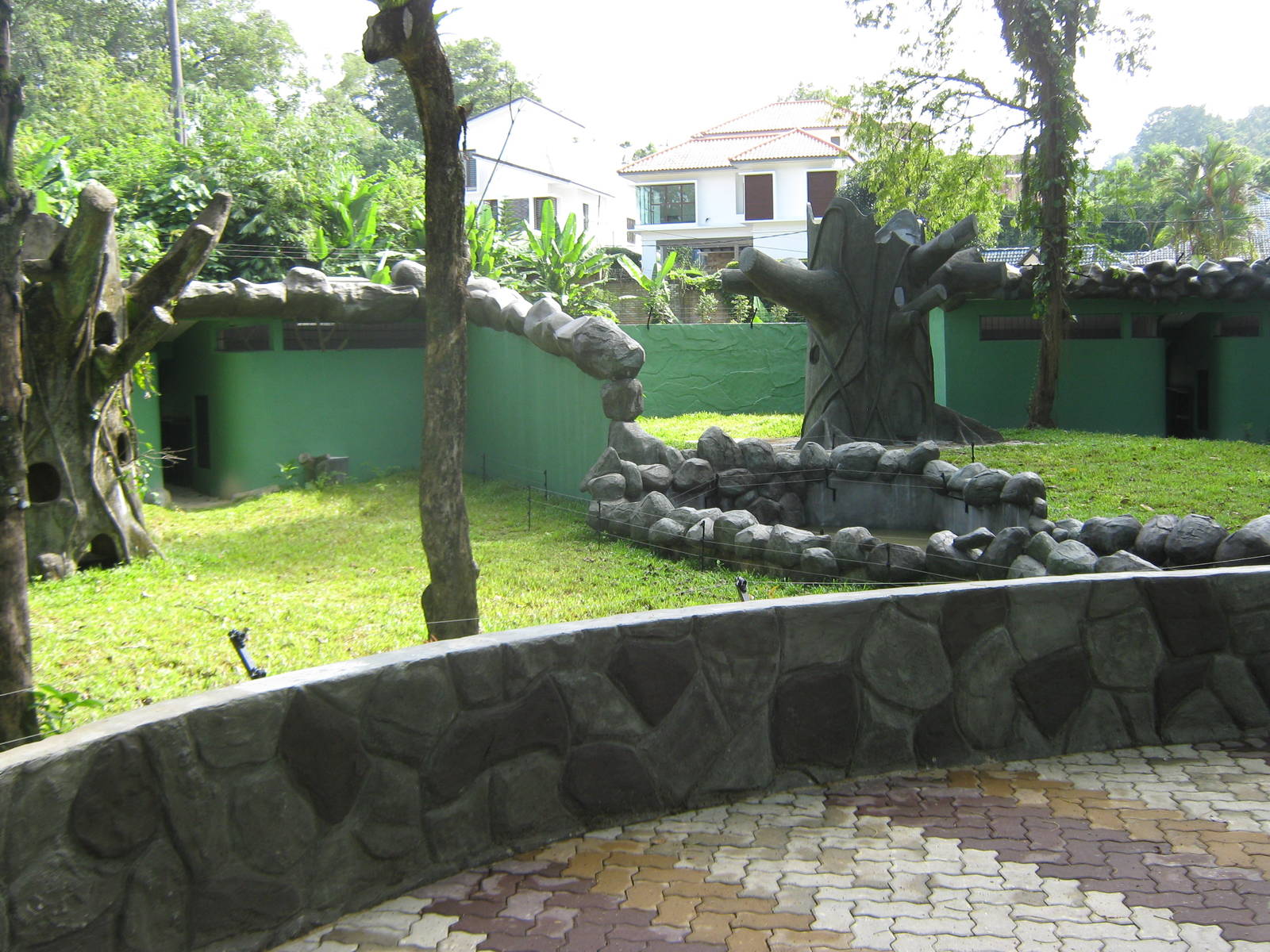 views of the new sun bear enclosure, under construction