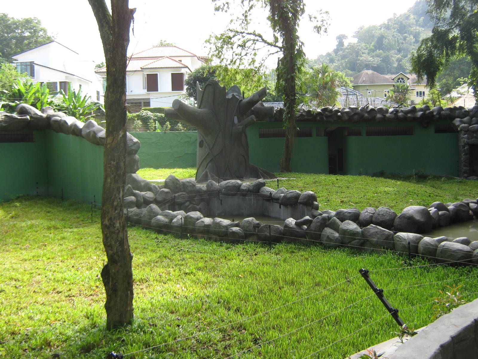 views of the new sun bear enclosure, under construction