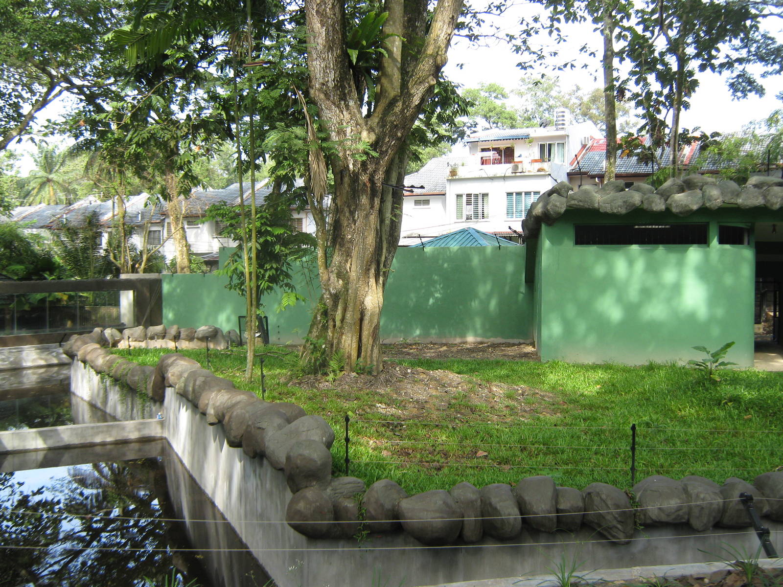 views of the new sun bear enclosure, under construction