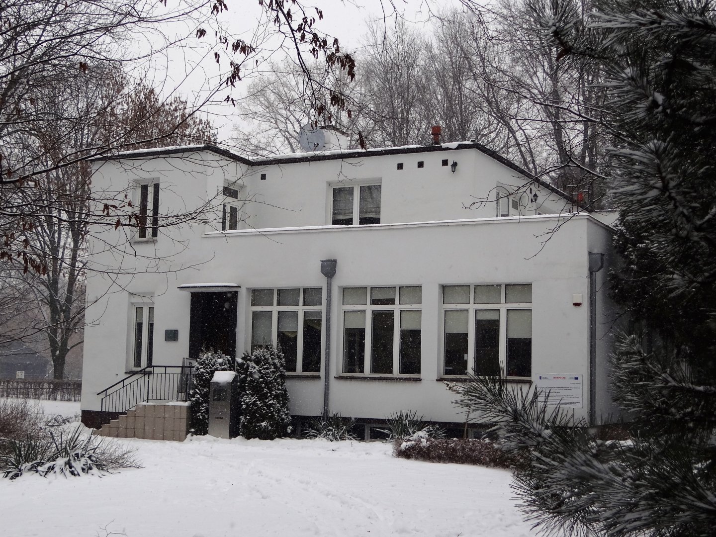 Villa under the Crazy Star