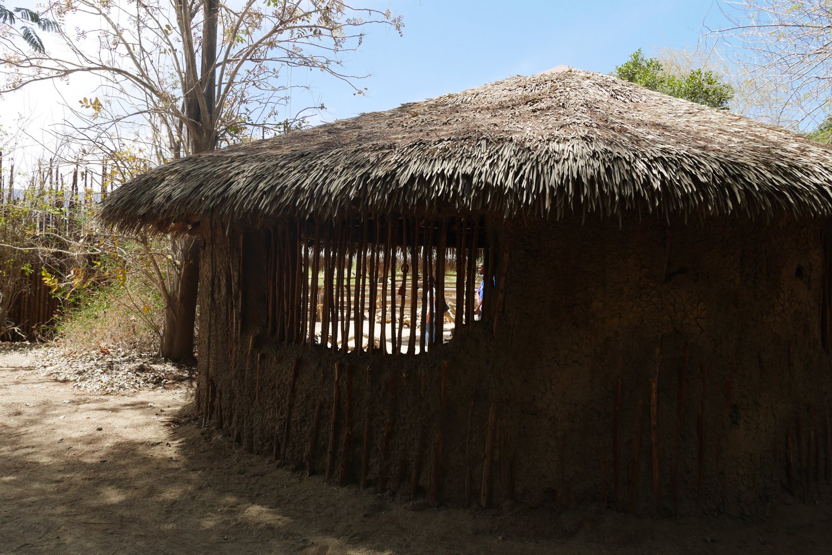 Village WaTuTu - My First US Zoo Trip
