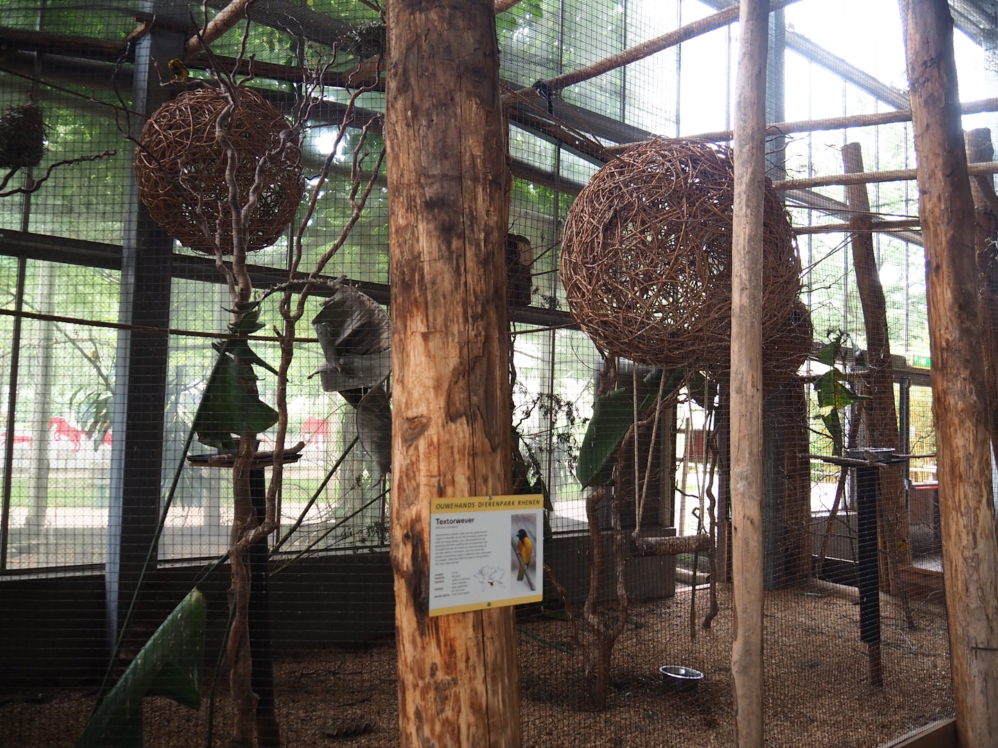 Village weaver and Von der Decken's hornbill aviary, 2023-08-17