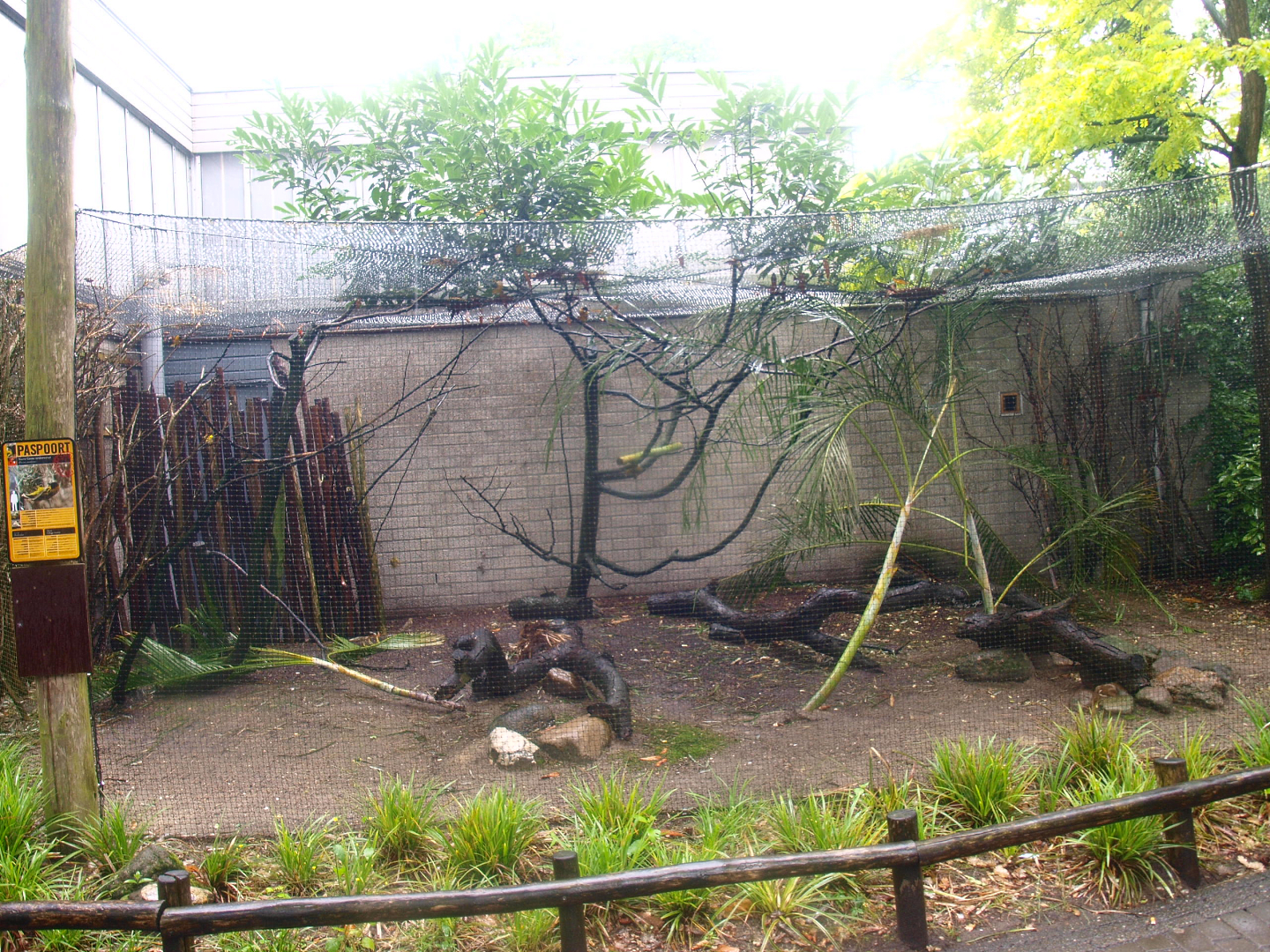 Village weaver aviary outside the Africa House, 2015-07-19