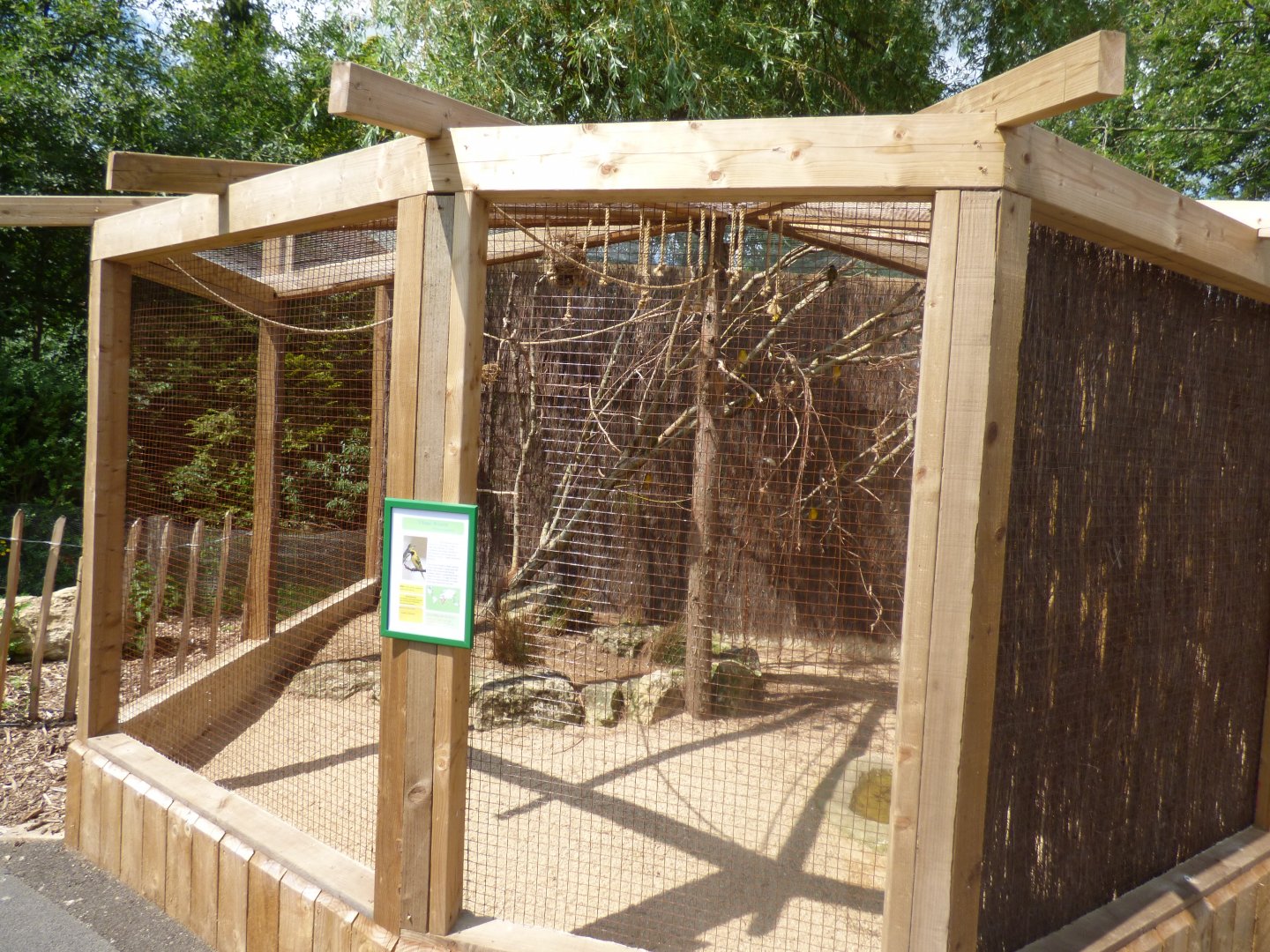 Village Weaver Aviary