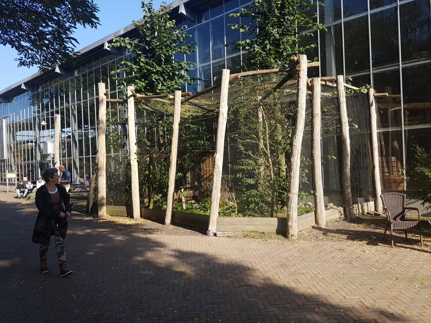 Village weaver-aviary