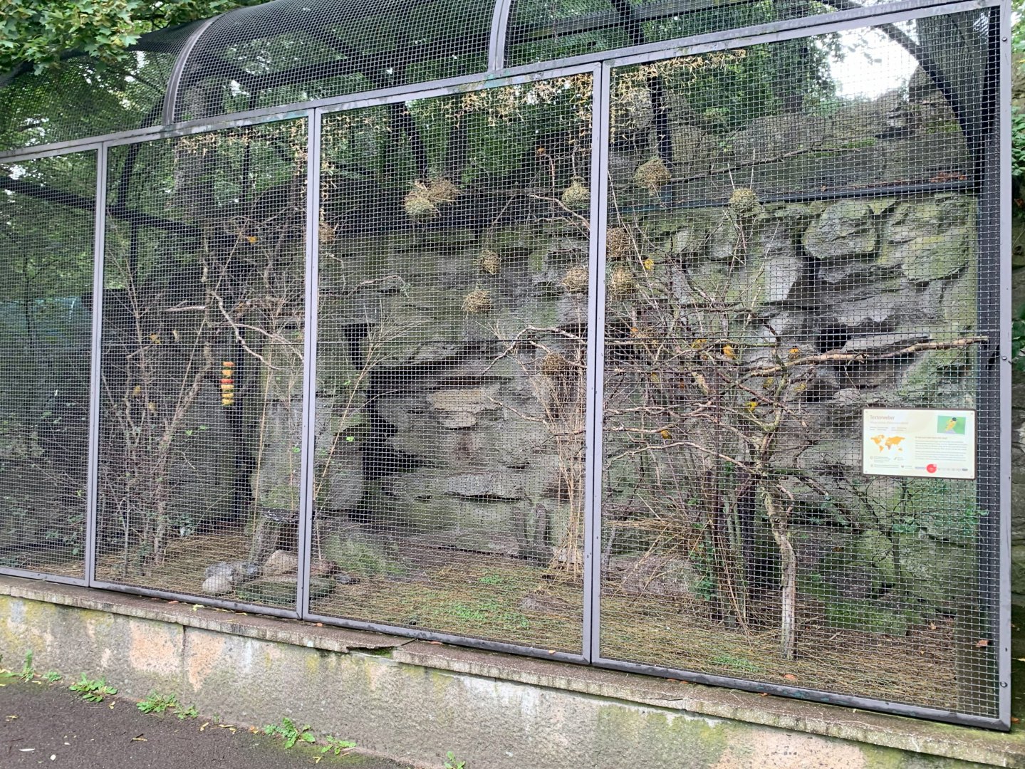 Village Weaver enclosure