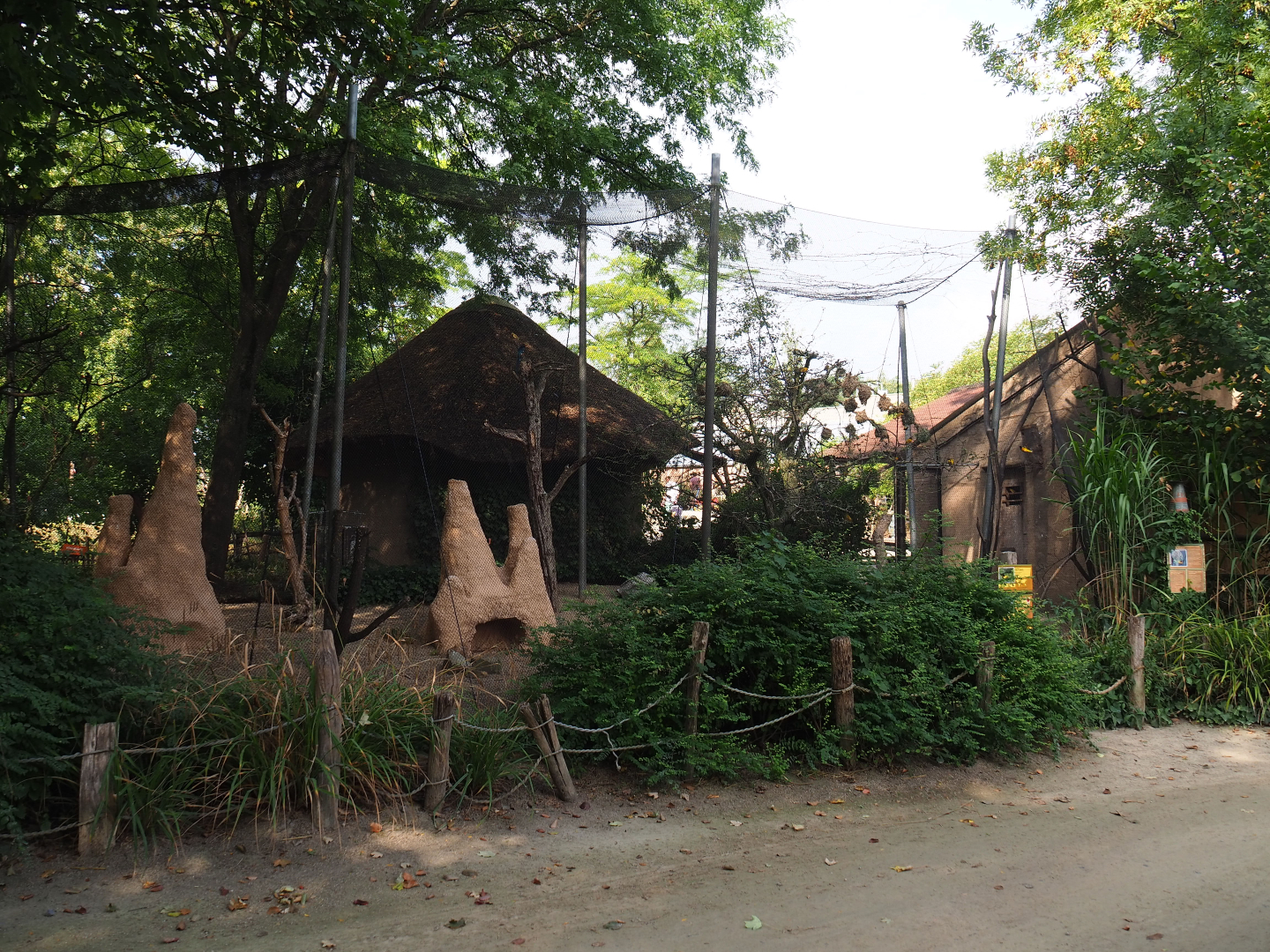 Village weaver, Golden-breasted starling, Green woodhoopoe and Congo peafowl aviary, 2020-08-15