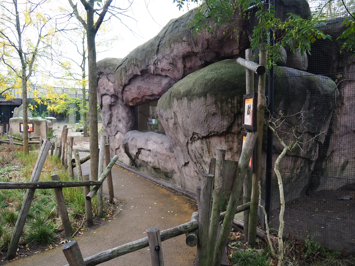 Village weaver, Green turaco and Cape ground squirrel house (Nov 10th, 2018)