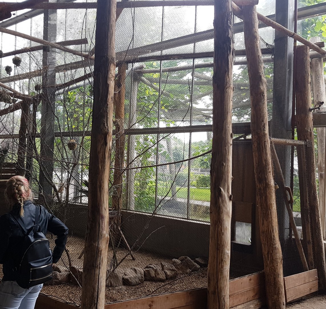 Village weaver indoor-enclosure