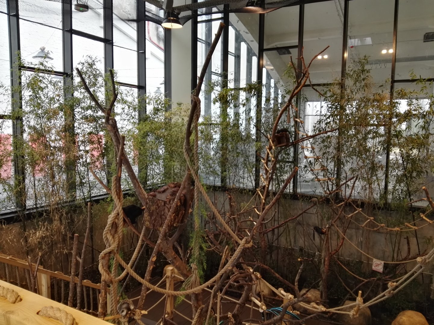 Vilnius Zoopark - indoor walkthrough exhibit