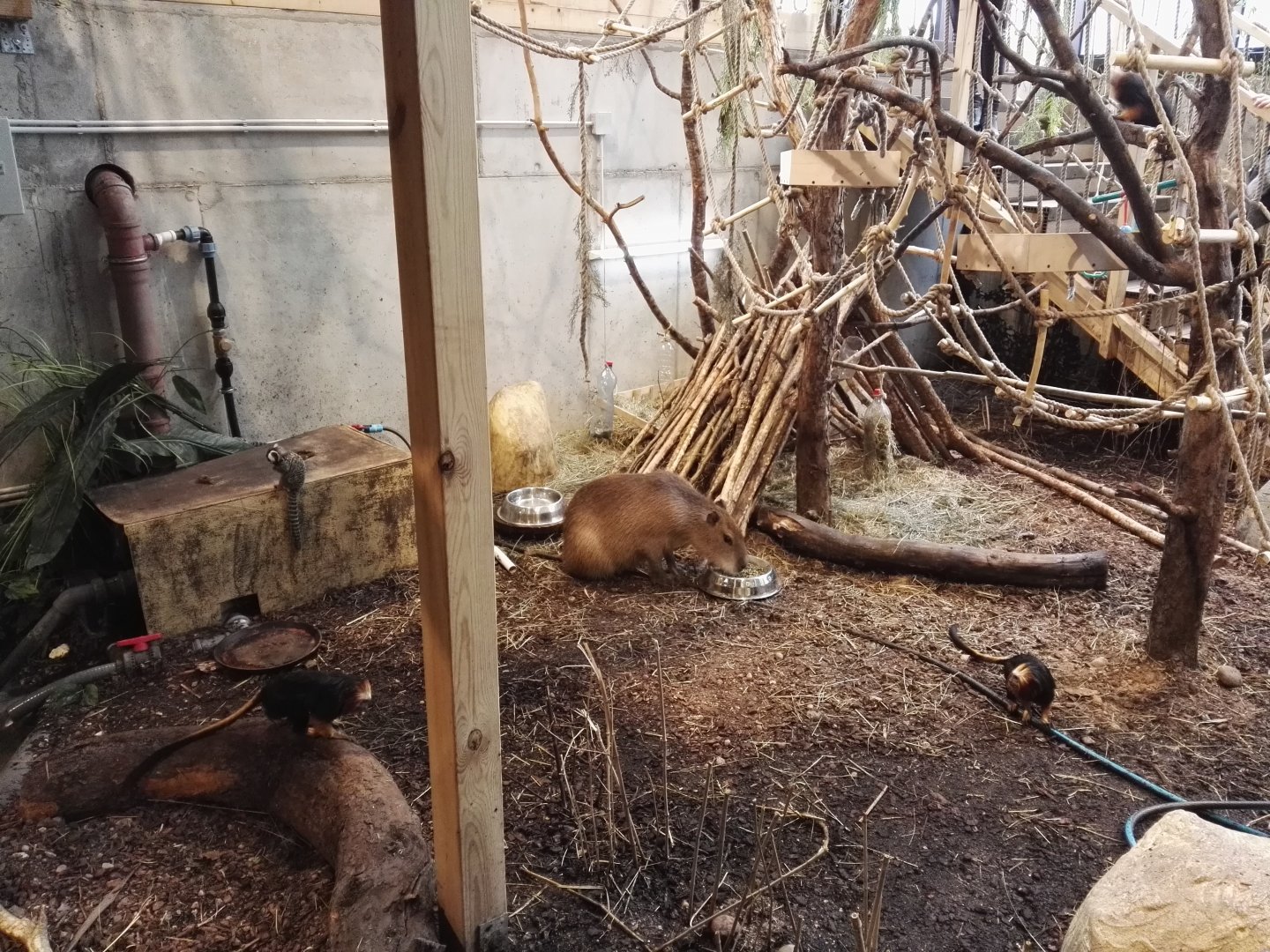Vilnius Zoopark - indoor walkthrough exhibit