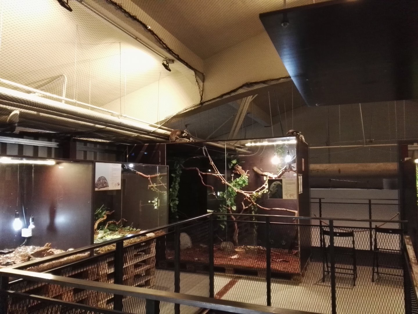Vilnius Zoopark - terrariums section (note the free roaming Lemurs!)