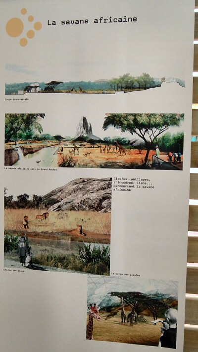 Vincennes africa savannah plan 11/06