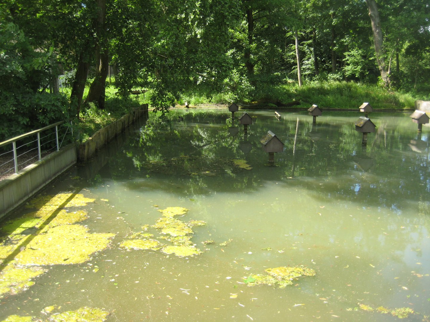 Vinderup Anlæg - Duck pond