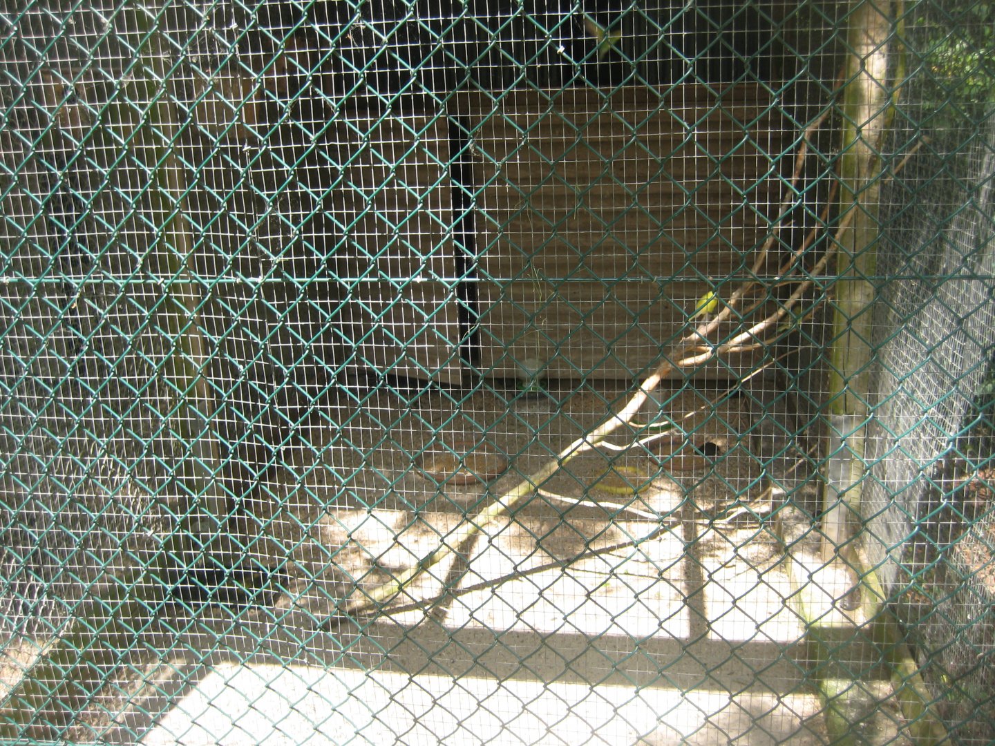 Vinderup Anlæg - Mixed bird aviary