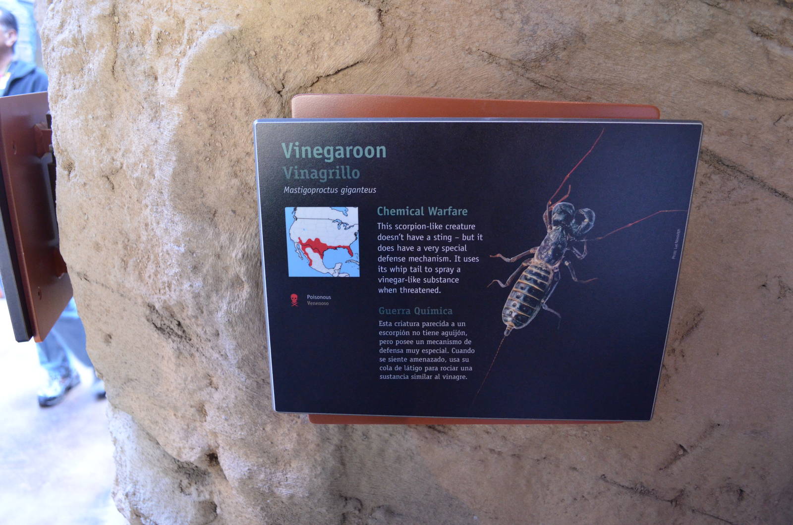 VINEGAROON SIGNAGE