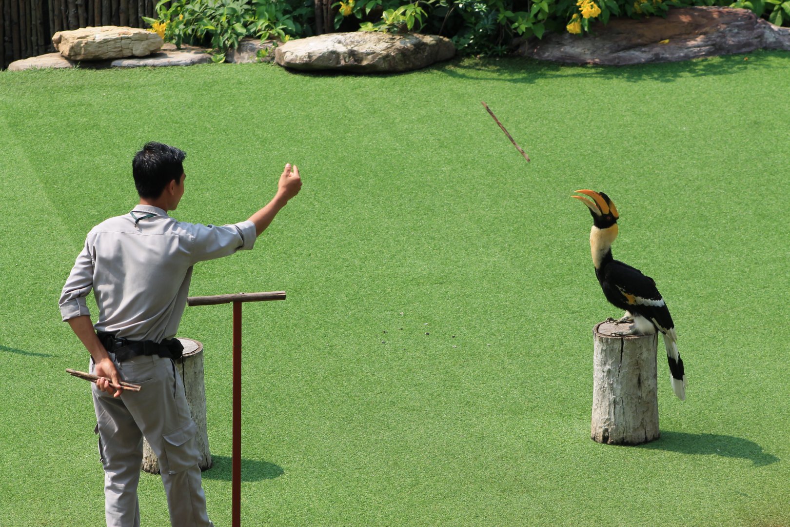 Vinpearl Safari animal show