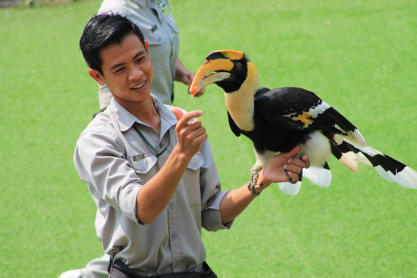 Vinpearl Safari animal show