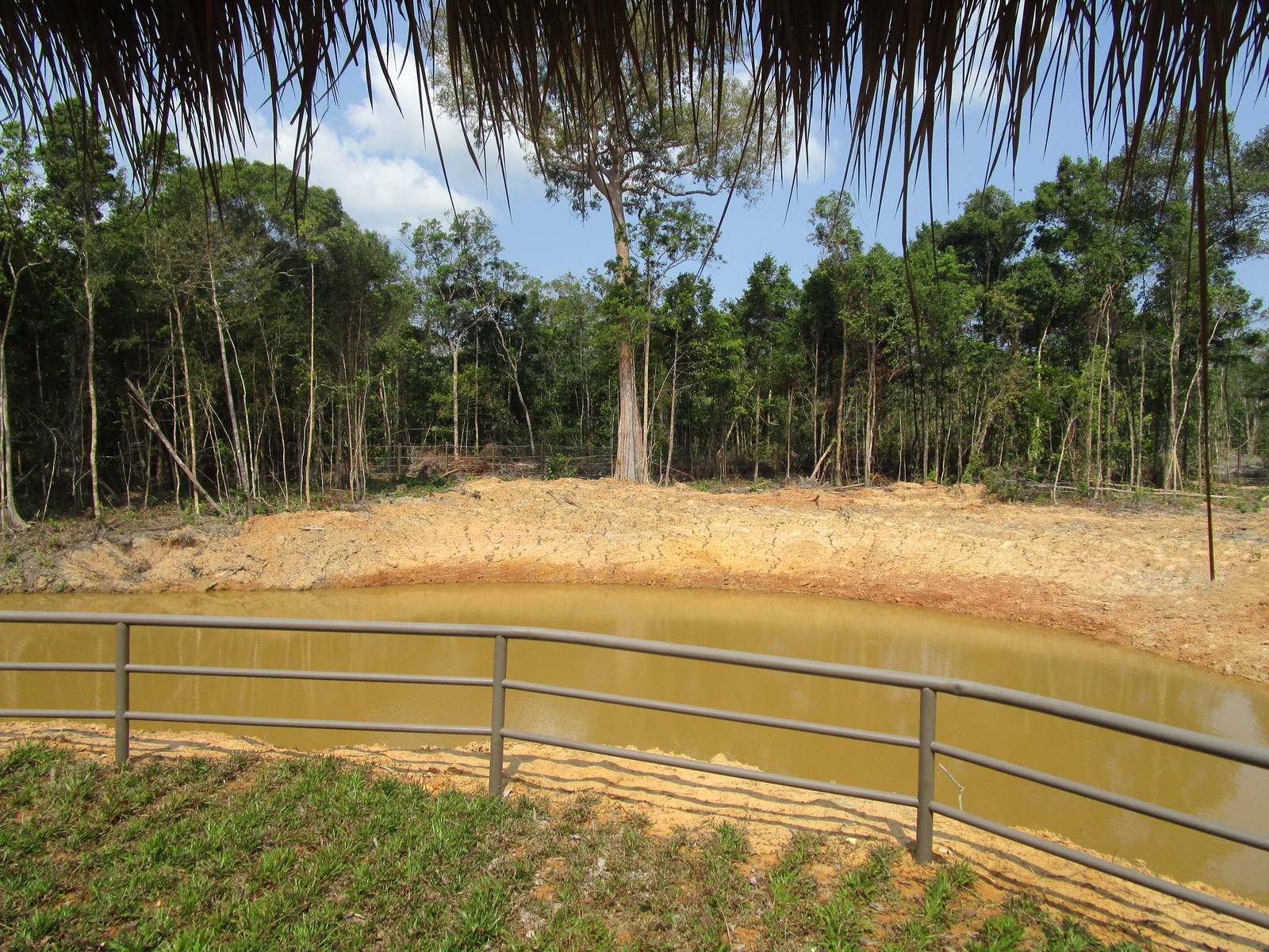 Vinpearl Safari - Asian Elephant Enclosure