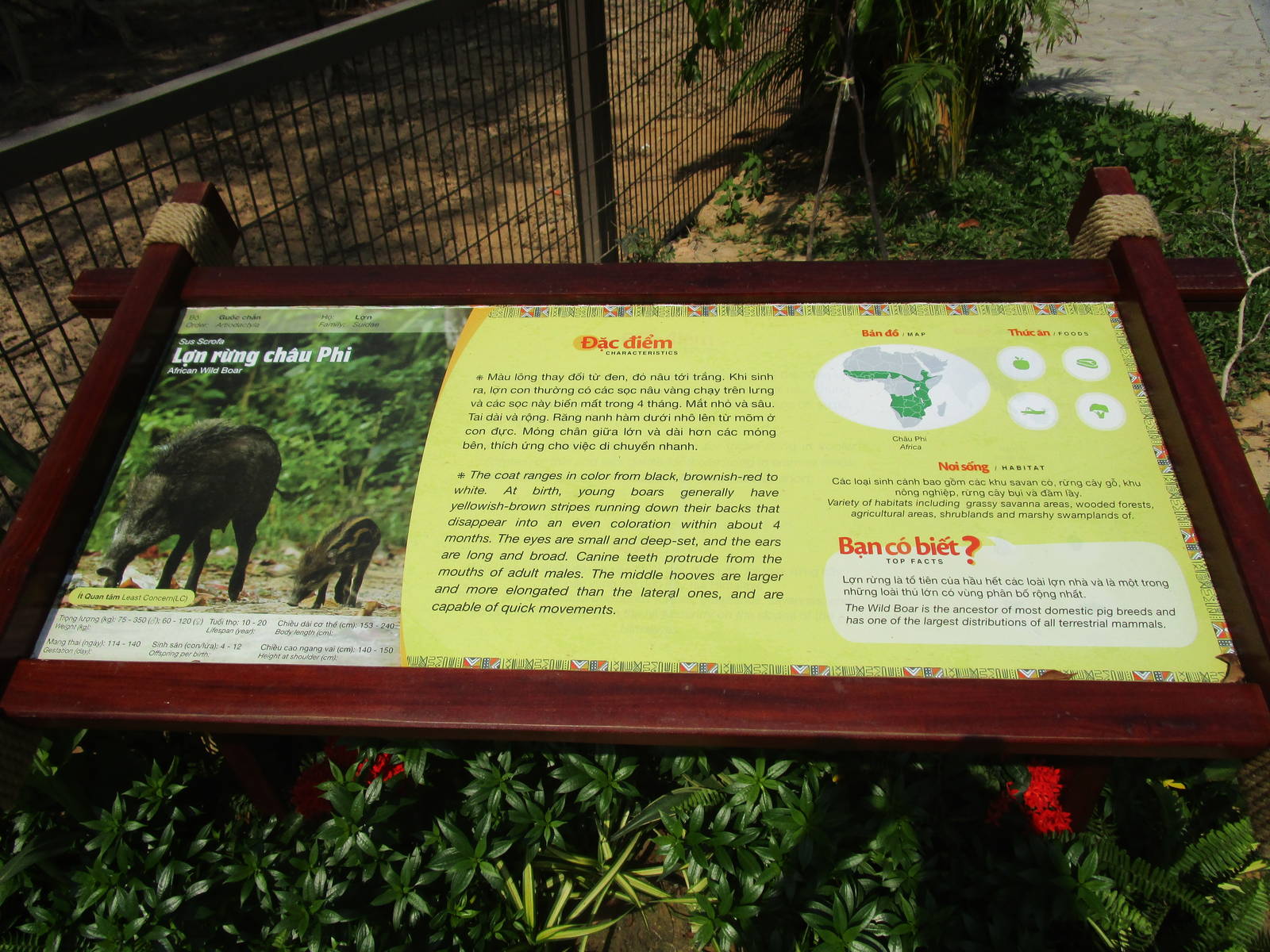 Vinpearl Safari - bad Signage