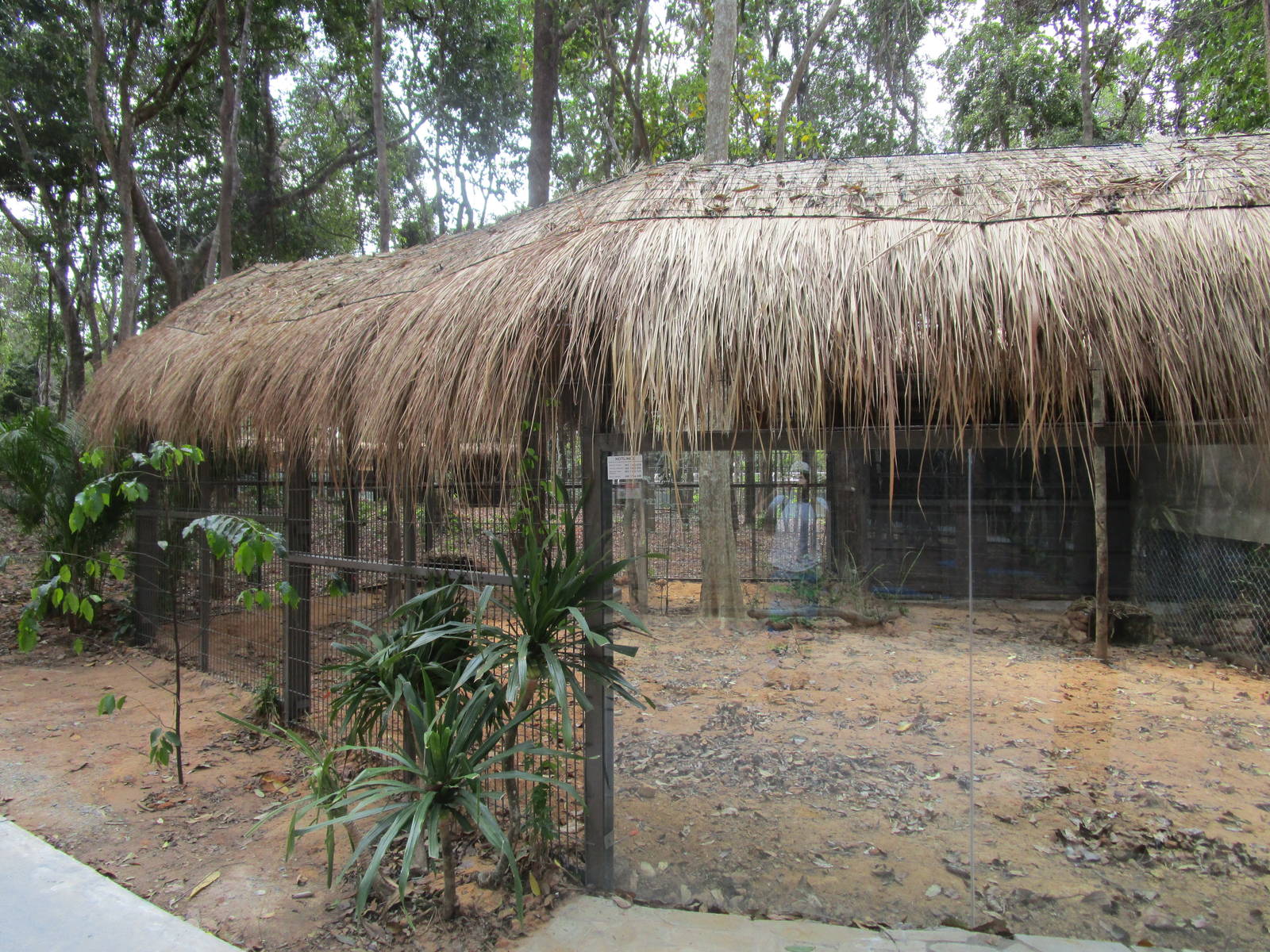 Vinpearl Safari - Bat-eared Fox Enclosure