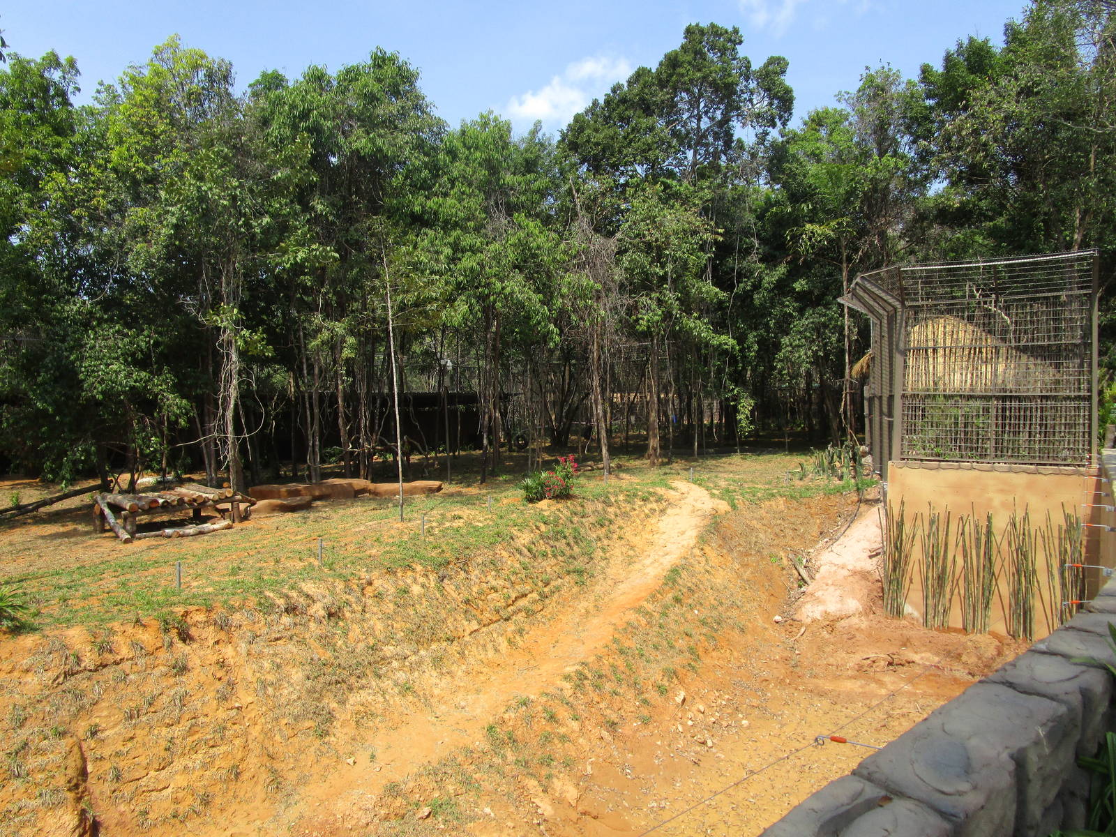 Vinpearl Safari - Bengal Tiger Enclosure