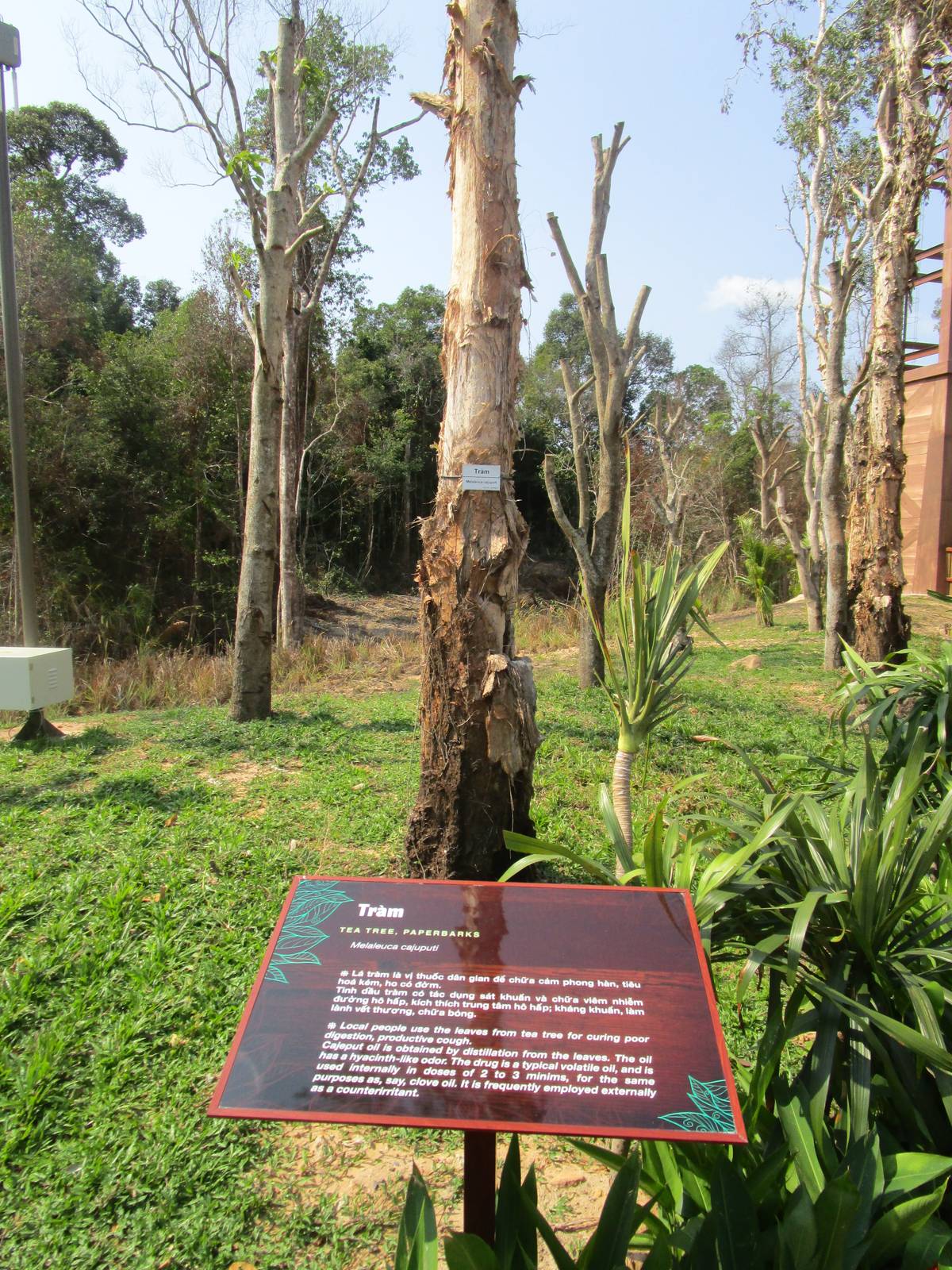 Vinpearl Safari - Botany Signage