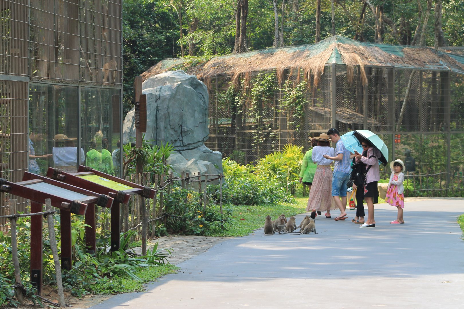 Vinpearl Safari - cageless macaques