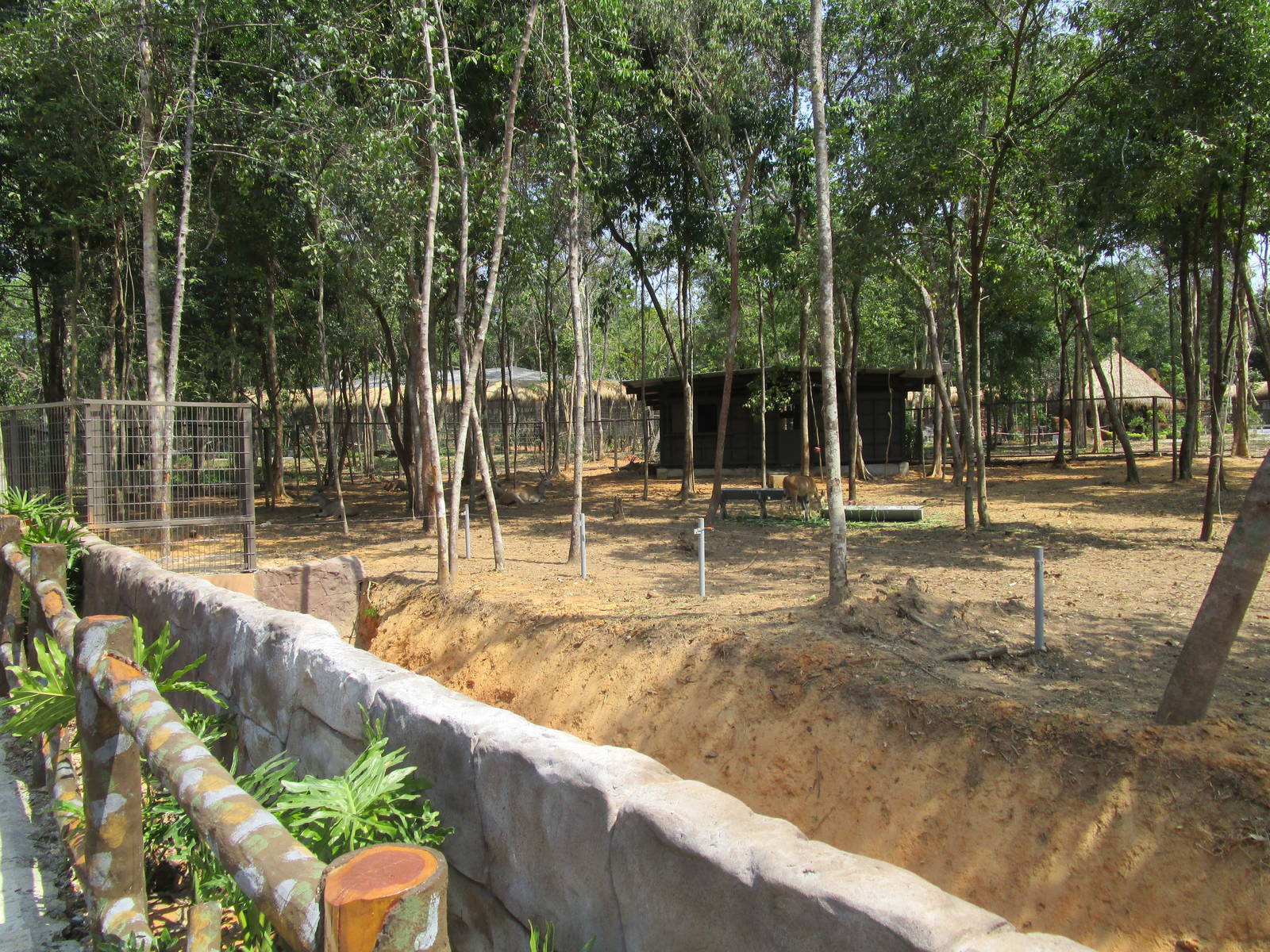 Vinpearl Safari - Common Eland Enclosure