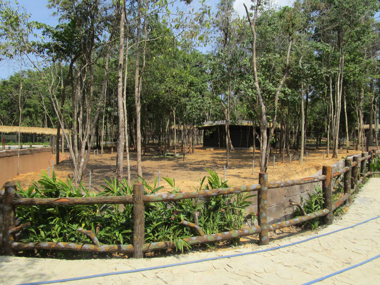 Vinpearl Safari - Common Eland Enclosure