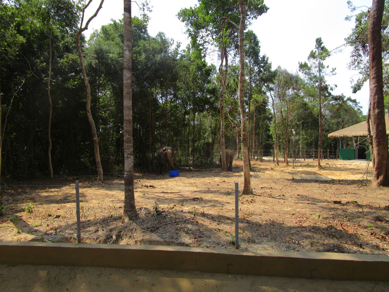 Vinpearl Safari - Elephant Enclosure