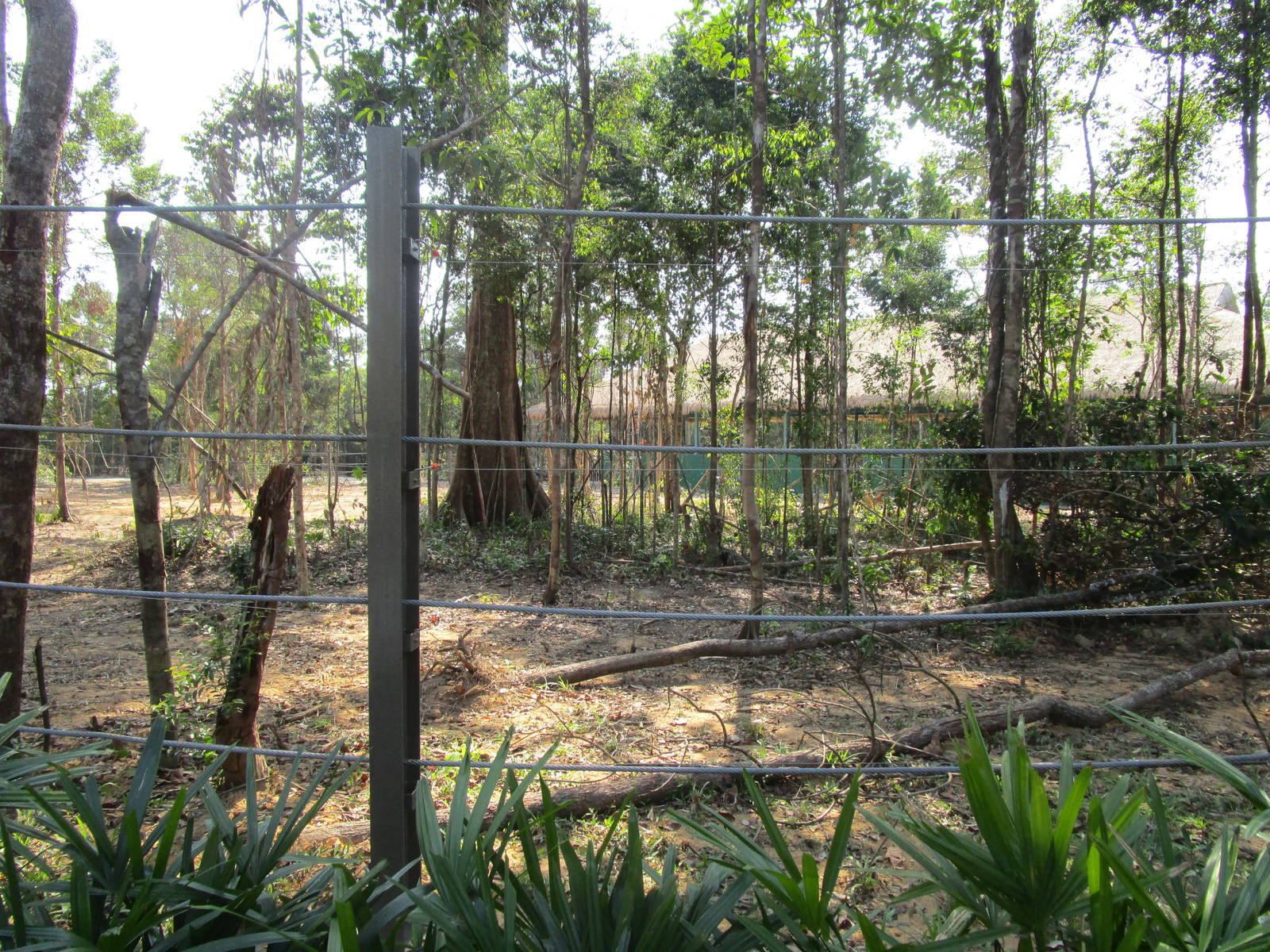 Vinpearl Safari - Elephant Enclosure