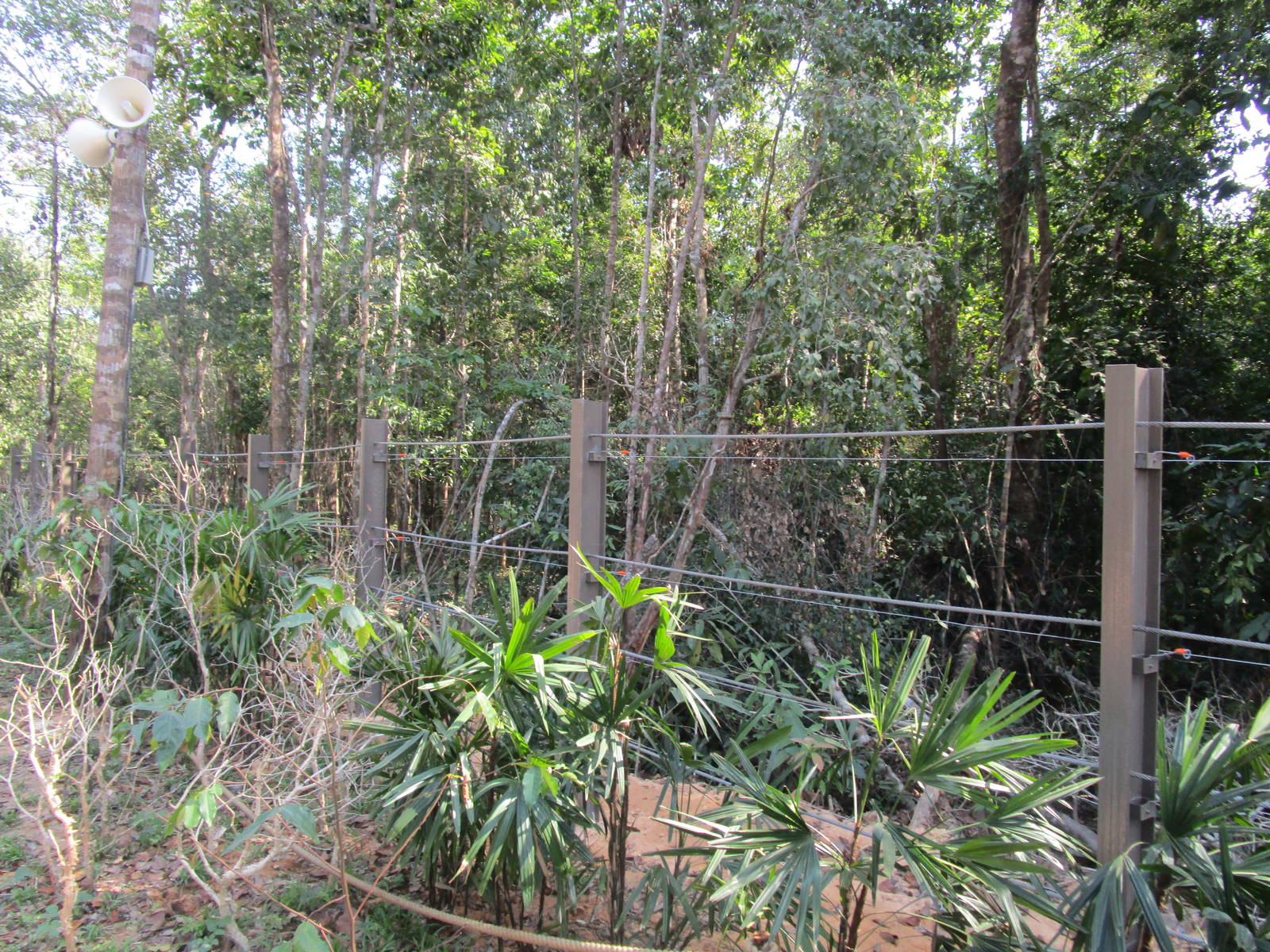 Vinpearl Safari - Elephant Enclosure