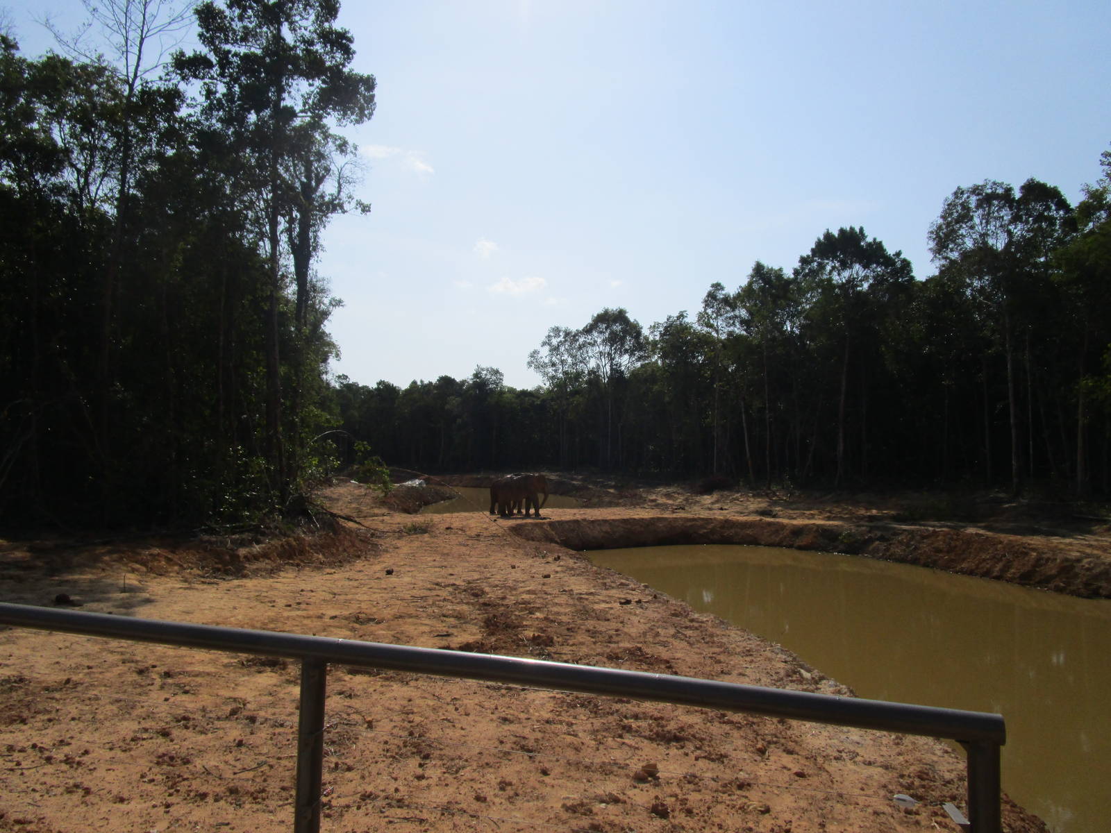 Vinpearl Safari - Elephant Enclosure