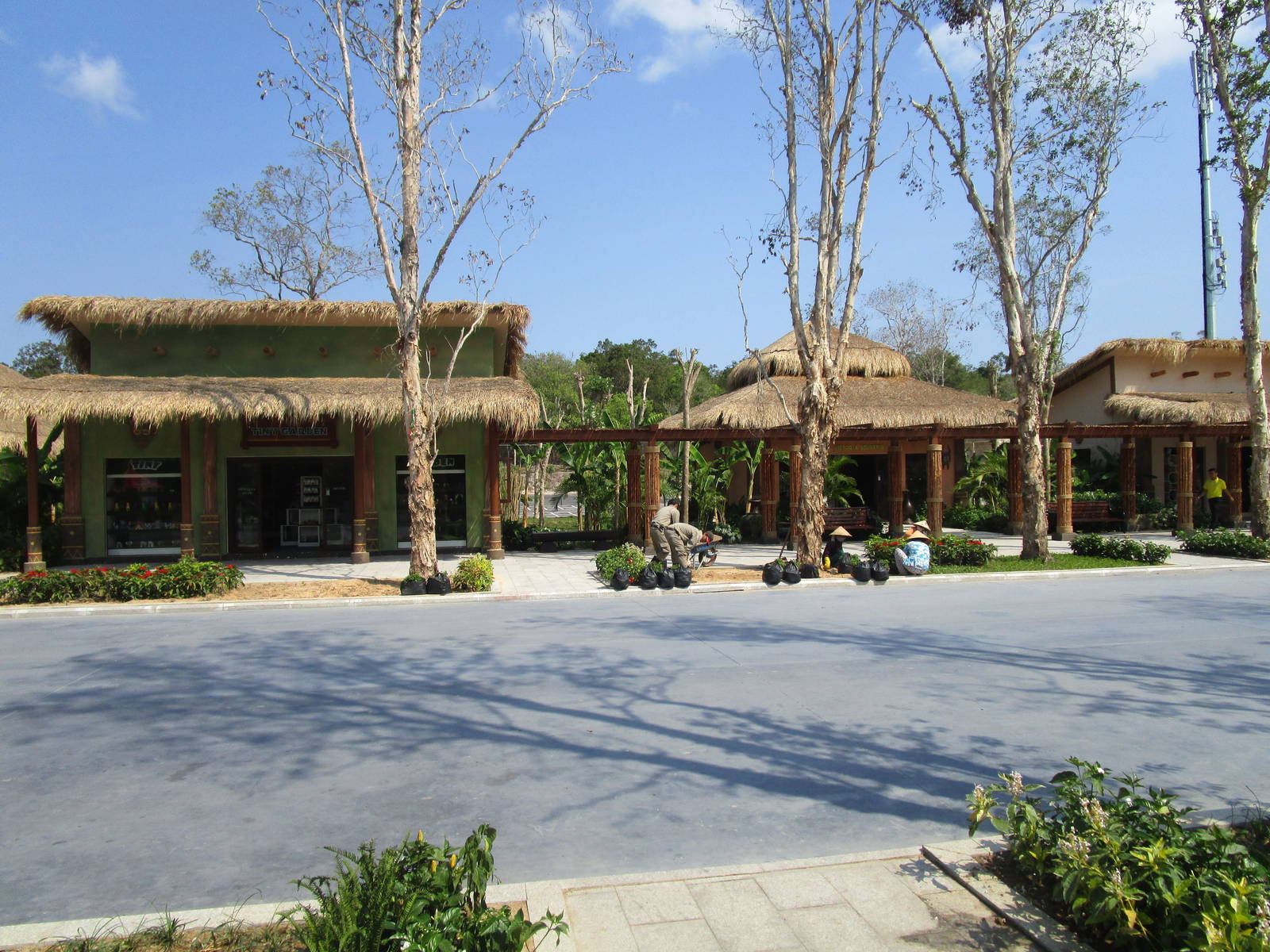 Vinpearl Safari - Entrance Avenue