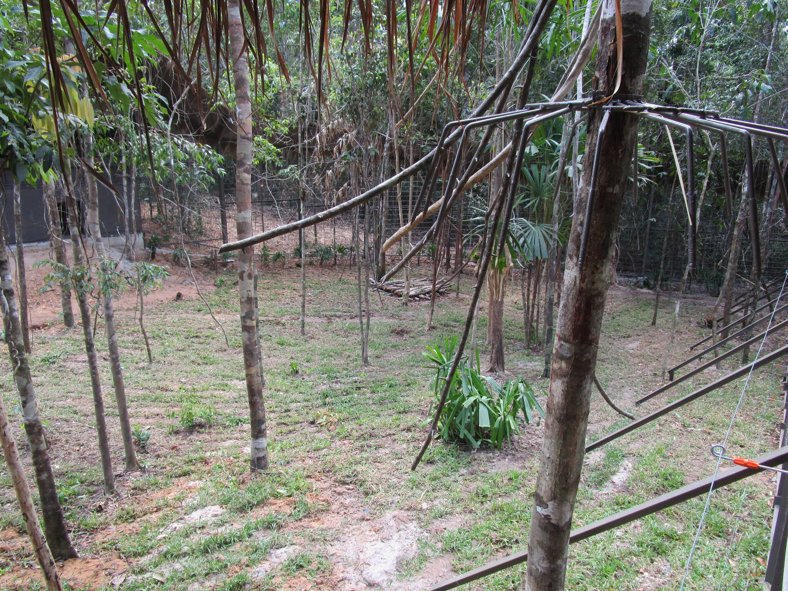 Vinpearl Safari - Fenced Lion Enclosure