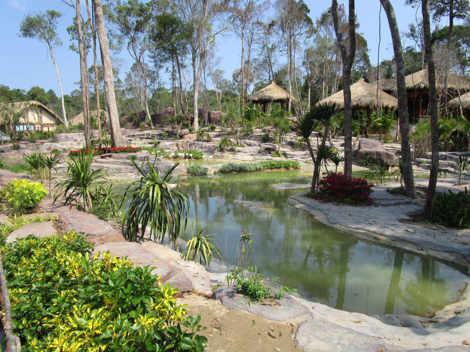 Vinpearl Safari - Flamingo Enclosure