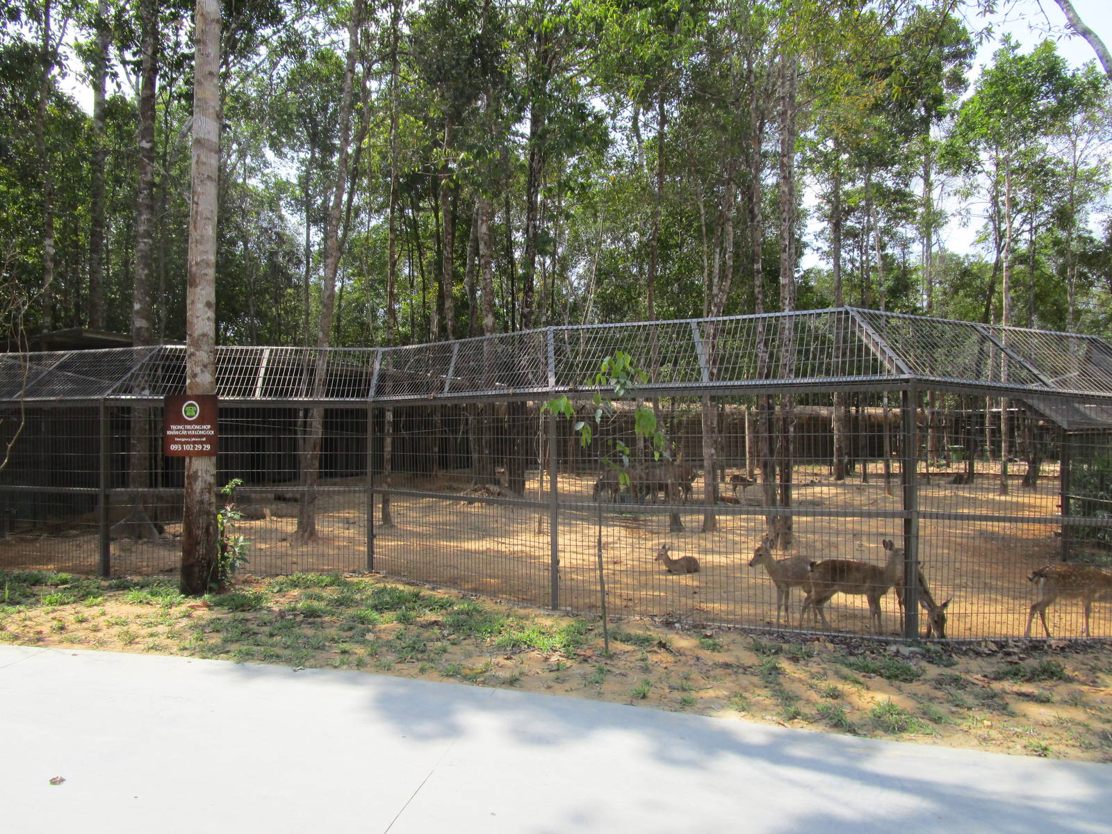Vinpearl Safari - Greater Kudu Enclosure