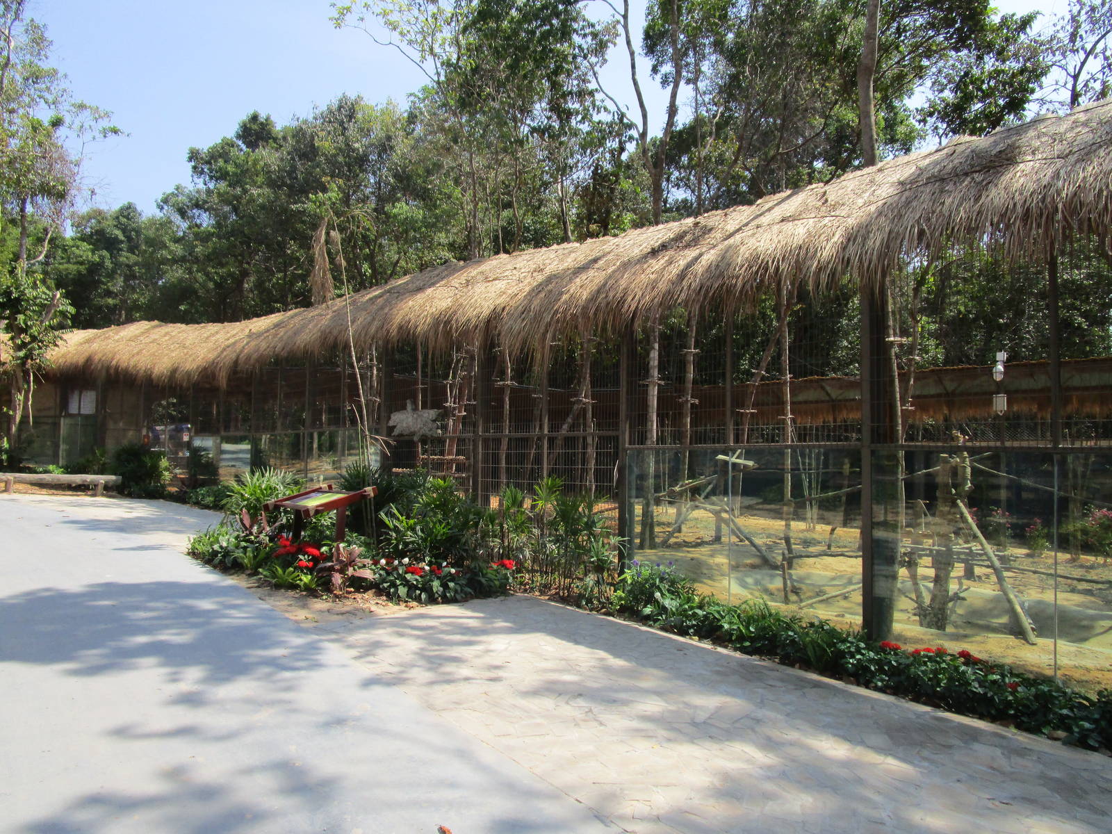 Vinpearl Safari - Hamadryas Baboon Enclosure