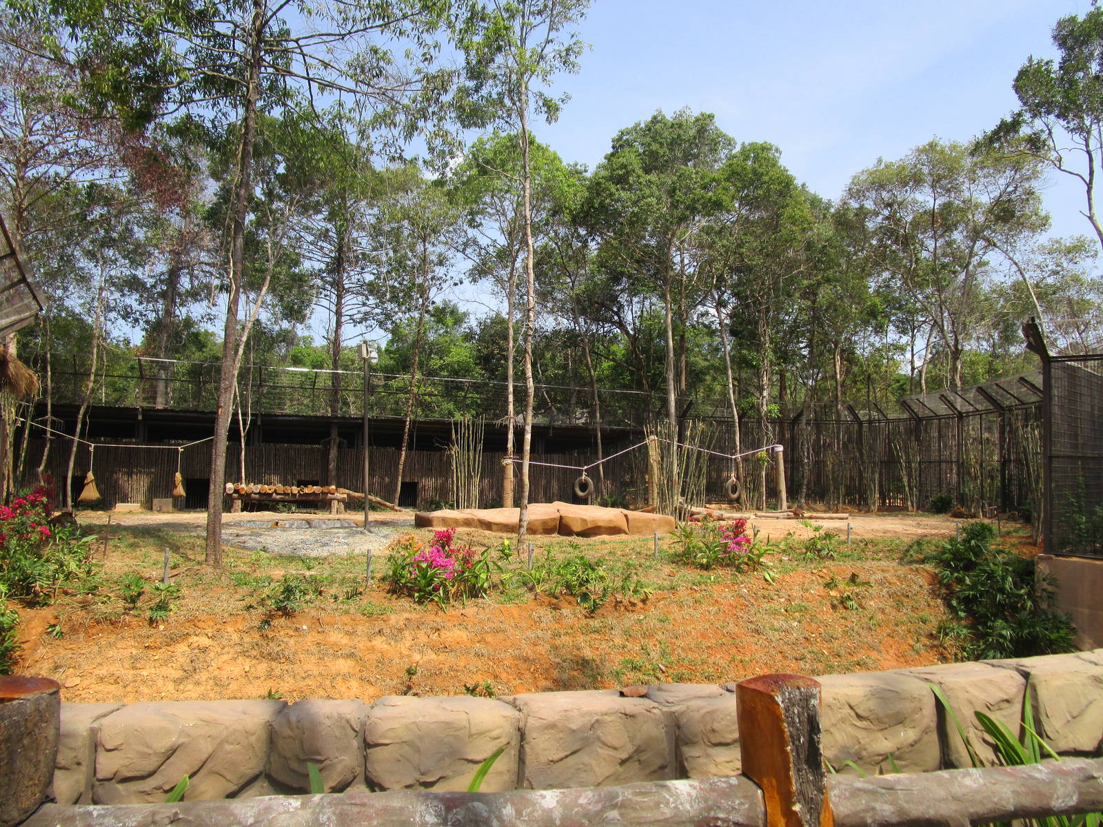 Vinpearl Safari - Indochinese Tiger Enclosure
