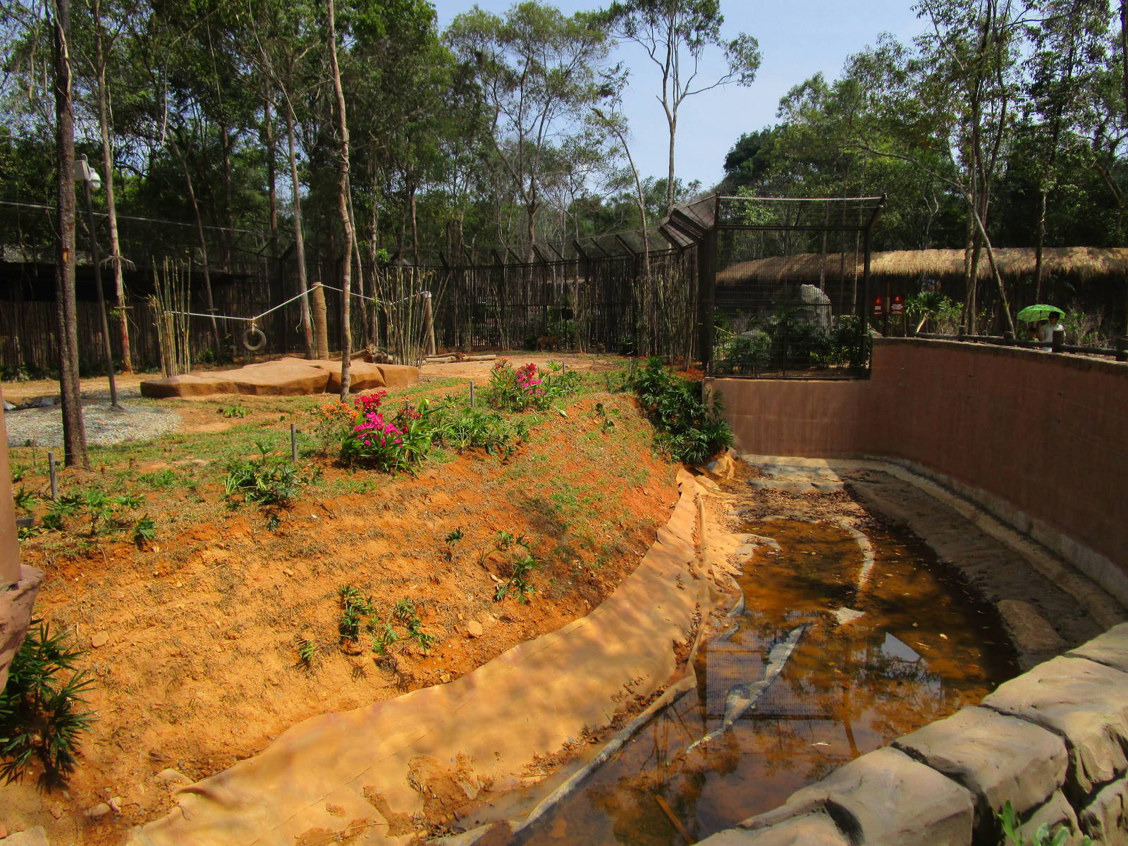 Vinpearl Safari - Indochinese Tiger Moat