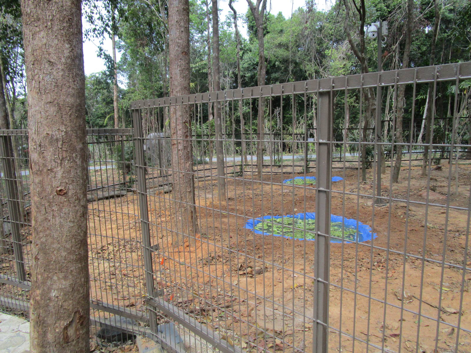 Vinpearl Safari - Kangaroo Enclosure