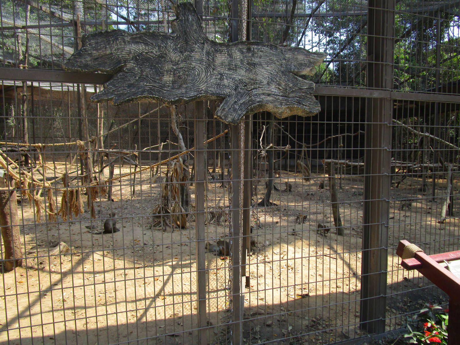 Vinpearl Safari - Long-tailed Macaque Enclosure
