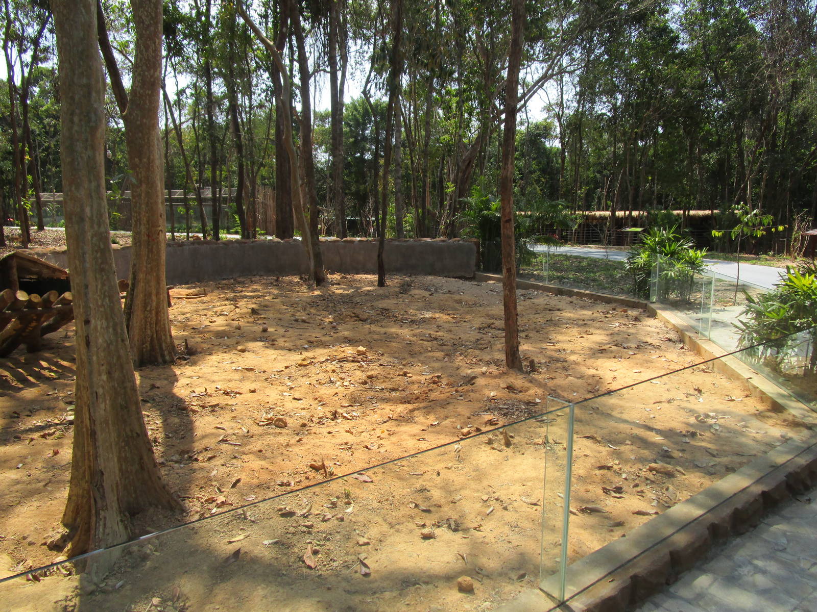 Vinpearl Safari - Malayan Porcupine Enclosure