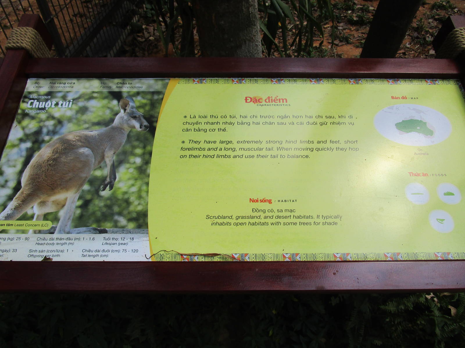 Vinpearl Safari - Nonchalant signage