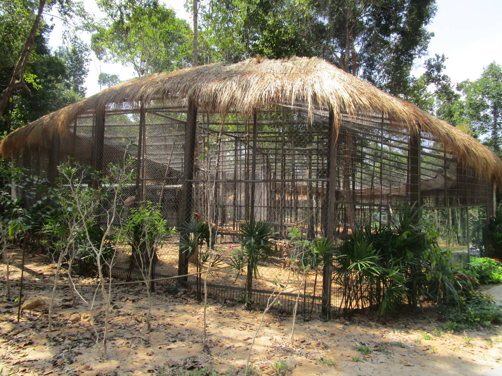 Vinpearl Safari - Primate Enclosure