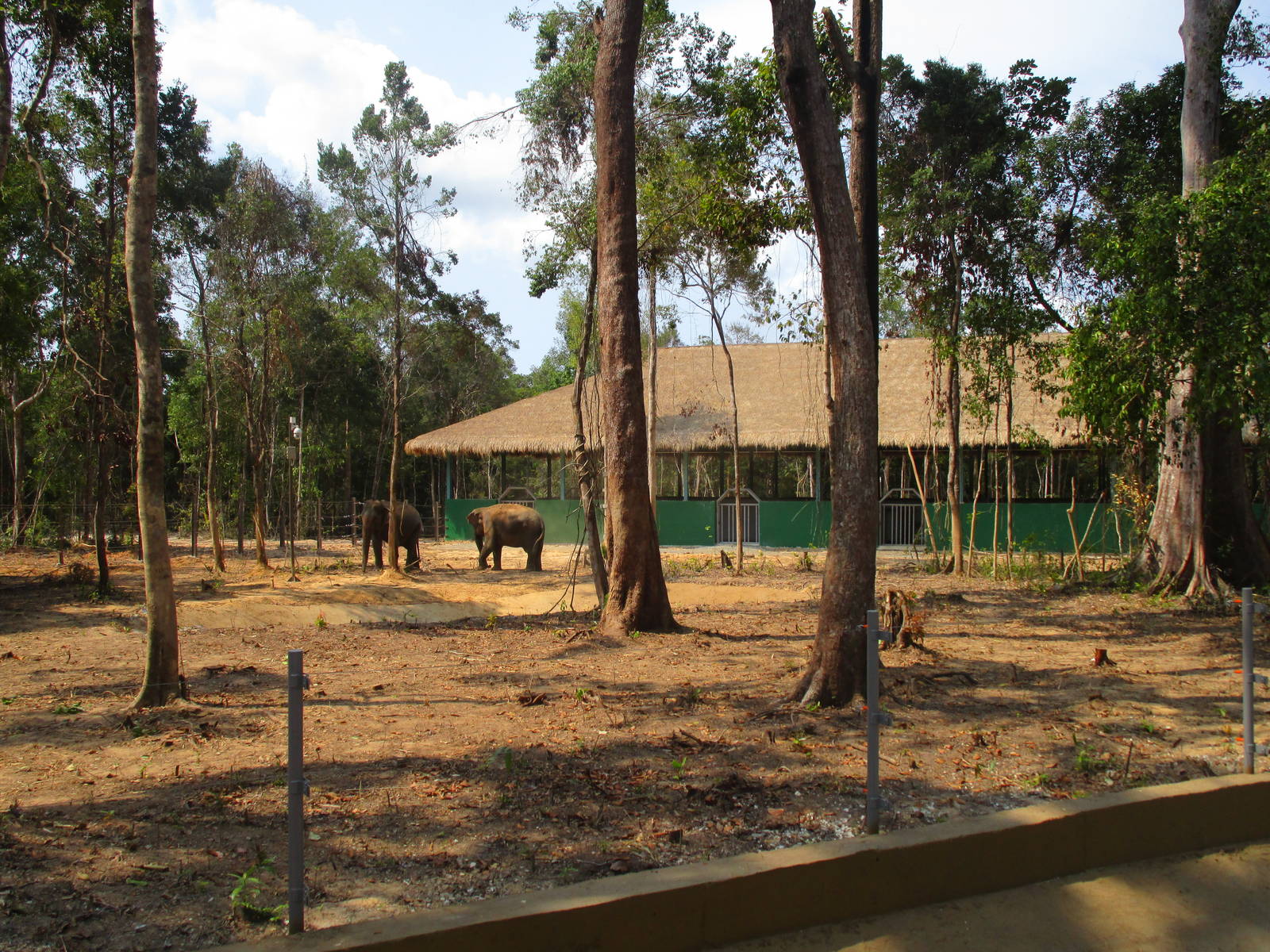 Vinpearl Safari - Second Elephant Enclosure