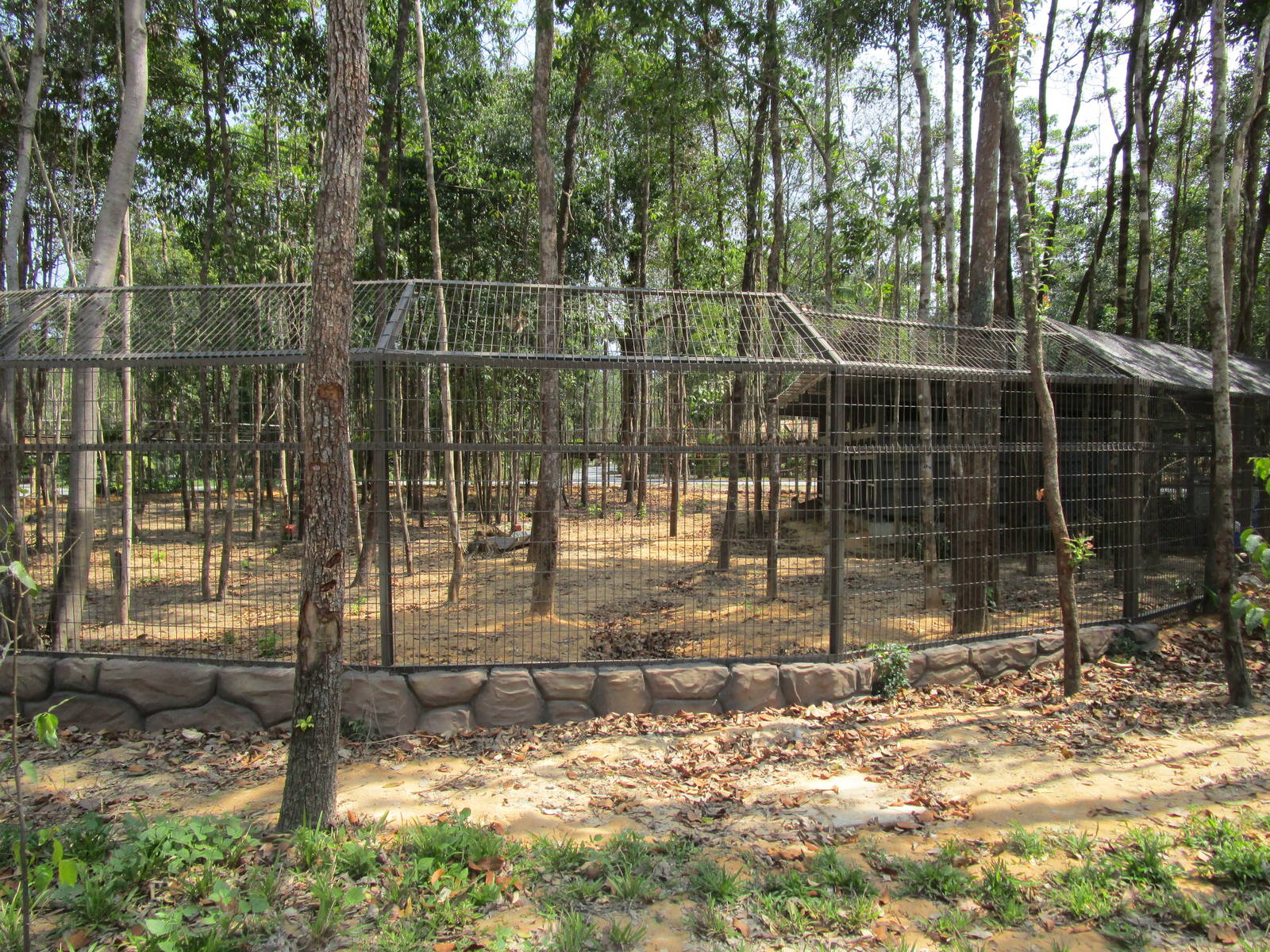 Vinpearl Safari - Second Klipspringer Enclosure