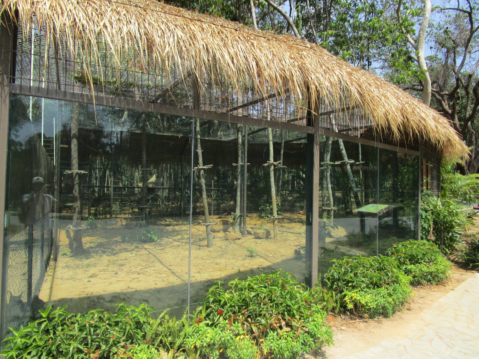 Vinpearl Safari - Serval Enclosure